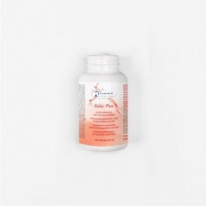 BASIC PLUS (sin azucar)